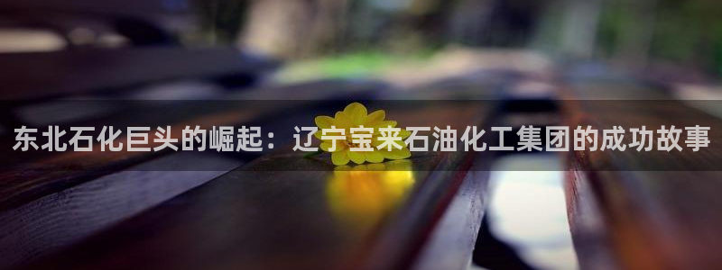 球盟会黑嘛