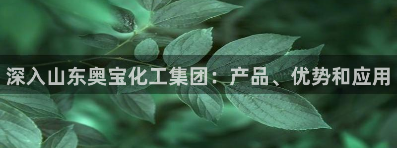 球盟会吧