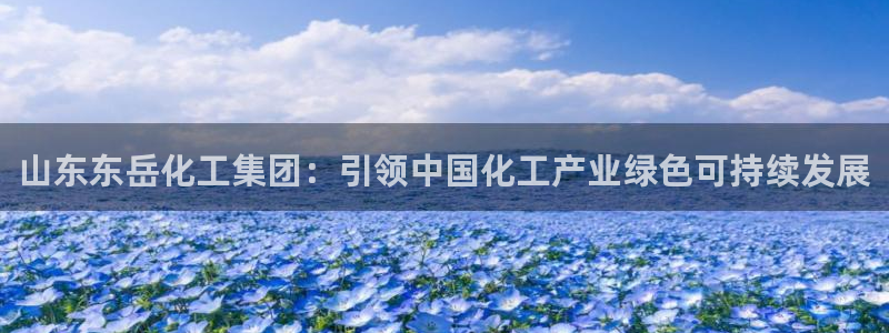 球盟会里面有打牌的嘛：山东东岳化工集团：引领中国化工产业绿色
