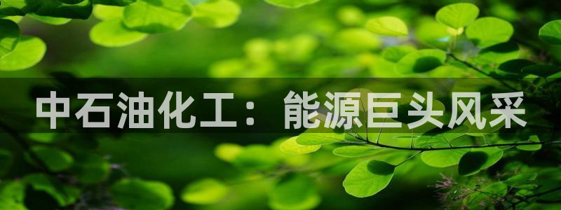 球盟会qmh网址