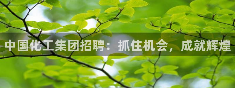 球盟会登录入口