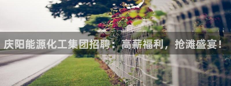 球盟会和中欧