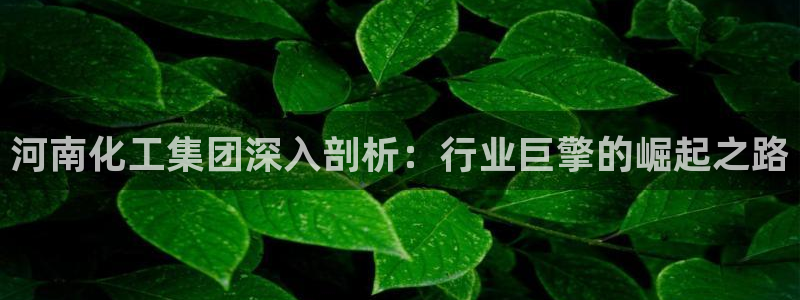 球盟会下载最新版