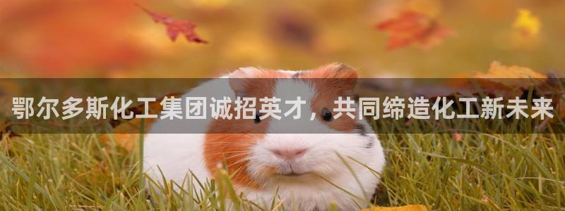 球盟会登录平台入口