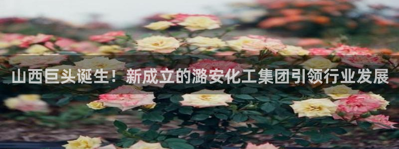 球盟会能提现吗