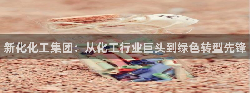 球盟会国际官网