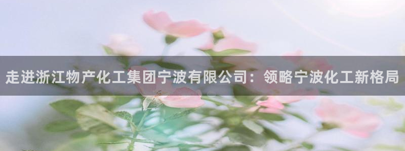 球盟会连接