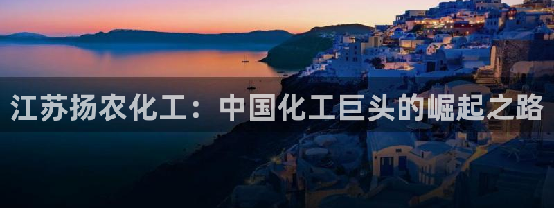 球盟会下款快吗
