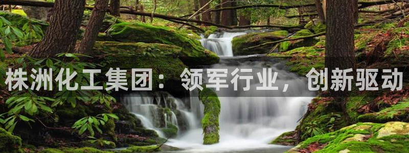 球盟会封号