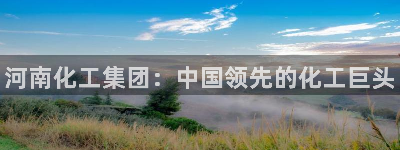 球盟会qm9