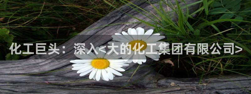 球盟会黑网