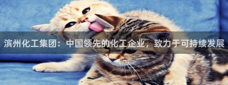 球盟会APP官网：滨州化工集团：中国领先的化工企业，致力于可