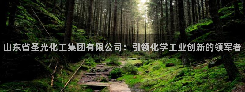 球盟会体验金：山东省圣光化工集团有限公司：引领化学工业创新的
