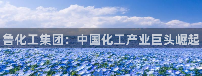 球盟会qm