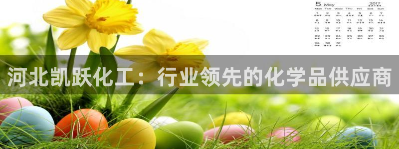 球盟会网页登录：河北凯跃化工：行业领先的化学品供应商