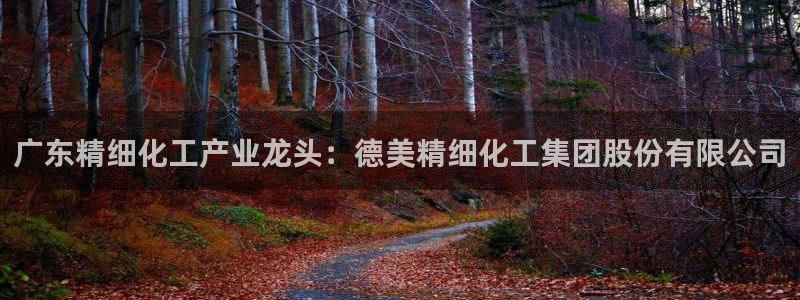 球盟会登录网址：广东精细化工产业龙头：德美精细化工集团股份有