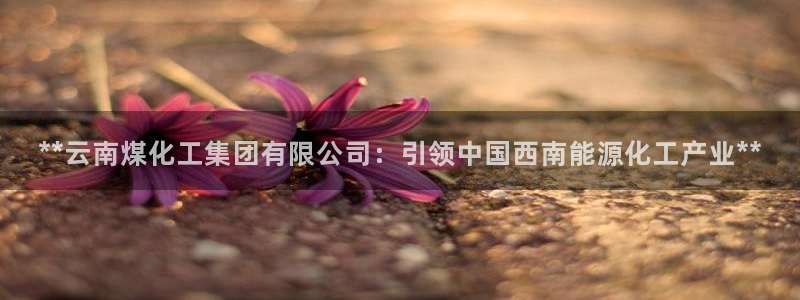 球盟会有没有黑单的球员：**云南煤化工集团有限公司：引领中国