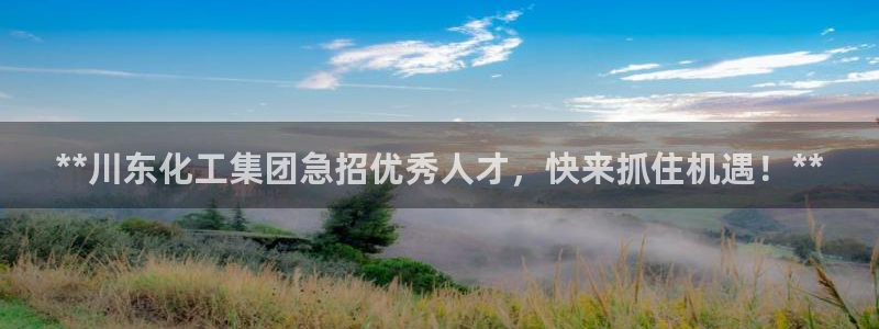 球盟会最新活动