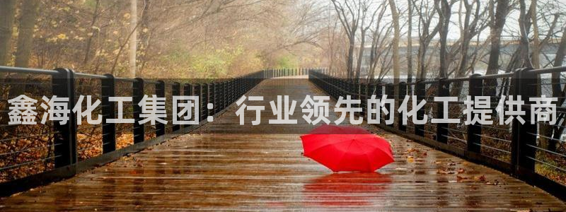 球盟会黑嘛：鑫海化工集团：行业领先的化工提供商