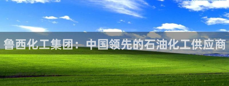 球盟会娱乐平台：鲁西化工集团：中国领先的石油化工供应商