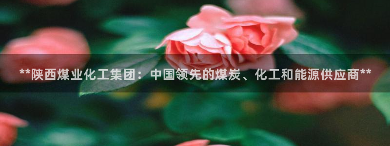 球盟会网页版：**陕西煤业化工集团：中国领先的煤炭、化工和能