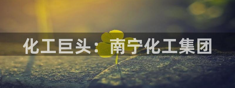 球盟会里面有打牌的嘛知乎：化工巨头：南宁化工集团