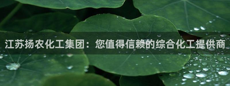 球盟会入口：江苏扬农化工集团：您值得信赖的综合化工提供商