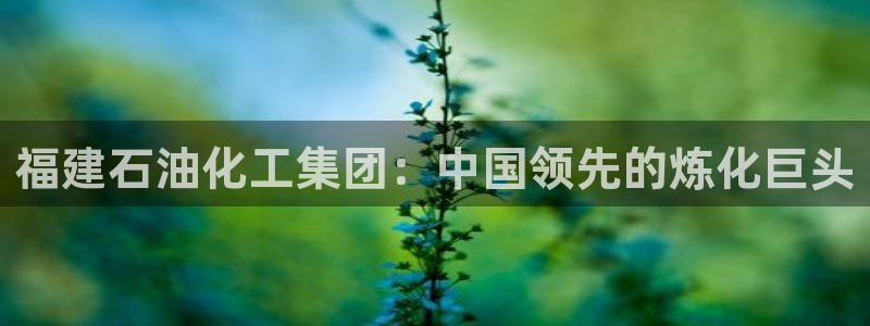 球盟会综合体育平台怎么样：福建石油化工集团：中国领先的炼化巨