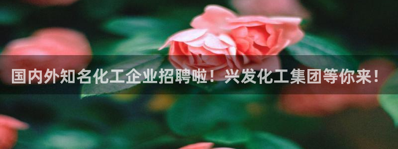 球盟会进不去球员吗