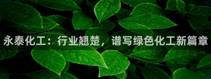球盟会能提现吗