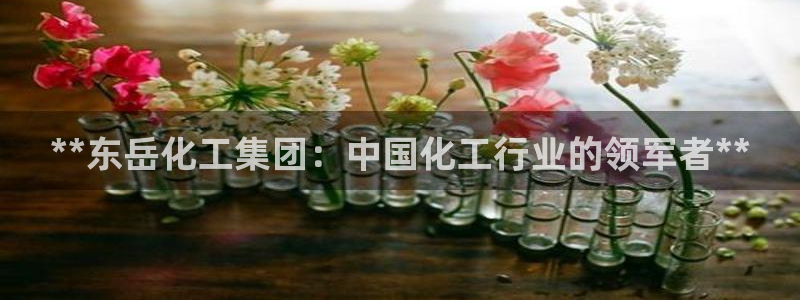 球盟会里面有打牌的嘛：**东岳化工集团：中国化工行业的领军者
