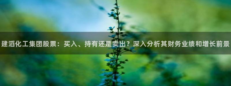 球盟会连接：建滔化工集团股票：买入、持有还是卖出？深入分析其