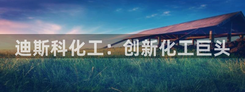 球盟会网址：迪斯科化工：创新化工巨头
