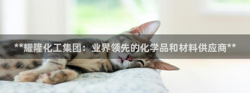 球盟会登陆中心：**耀隆化工集团：业界领先的化学品和材料供应