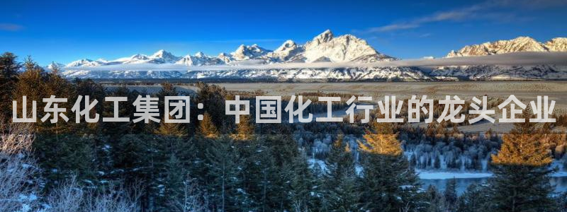 球盟会黑款吗知乎小说