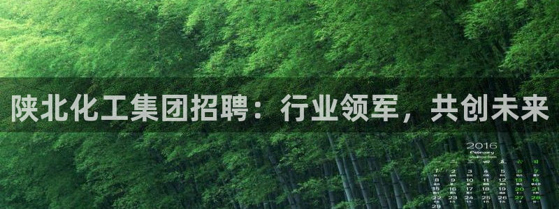 球盟会可以提现么现在