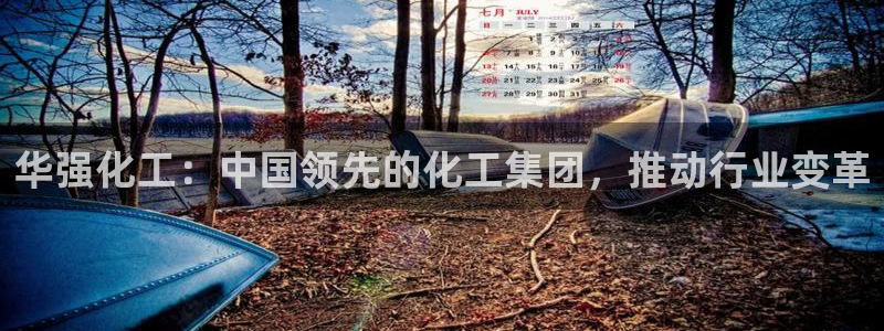 球盟会和中欧会的区别：华强化工：中国领先的化工集团，推动行业