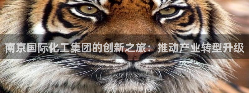 球盟会电子好黑