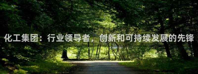 球盟会黑台：化工集团：行业领导者，创新和可持续发展的先锋
