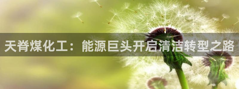 球盟会官方版下载地址