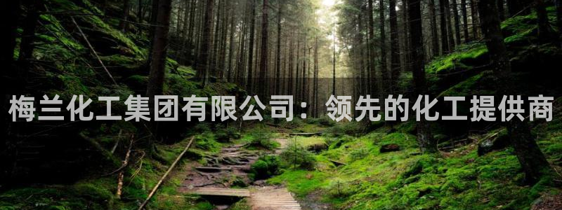 球盟会电子好下吗：梅兰化工集团有限公司：领先的化工提供商