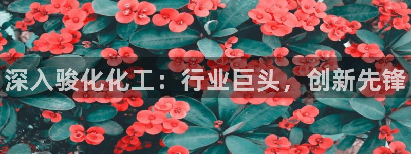 球盟会app最新地址在哪找