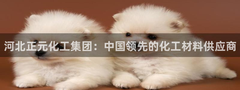 球盟会官方网页登录：河北正元化工集团：中国领先的化工材料供应
