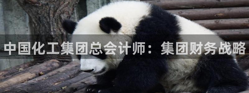 球盟会综合app下载