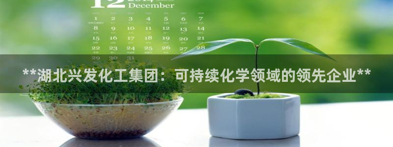 球盟会在线登入：**湖北兴发化工集团：可持续化学领域的领先企
