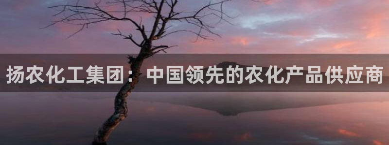 球盟会邮箱