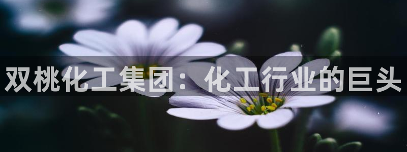 球盟会连接