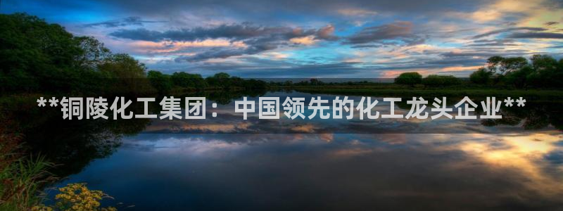 球盟会黑钱：**铜陵化工集团：中国领先的化工龙头企业**