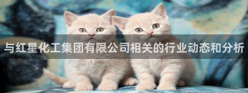 千亿球盟会乐玩