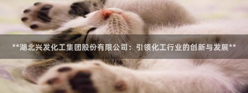 球盟会qmh电子网页版登录：**湖北兴发化工集团股份有限公司
